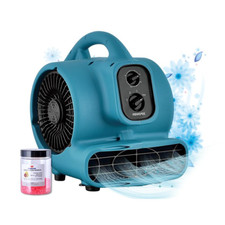 XPOWER P-250T Multifunctional Fan Timer Efficient Air Dryer Versatile Air Blower