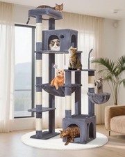 Taoqimiao Heavy Duty Cat Tree for Large Cats 20lbs , 71 Inches Tall... Fast Ship