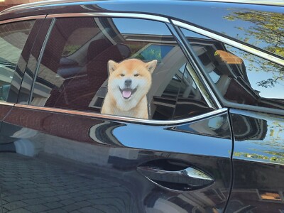 Shiba Inu Window Decal