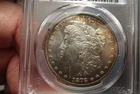 1878-S Morgan Silver Dollar PCGS MS63 Freshly Graded WOW COLOR!