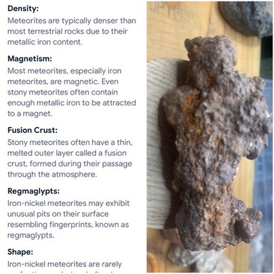 Rare meteorite
