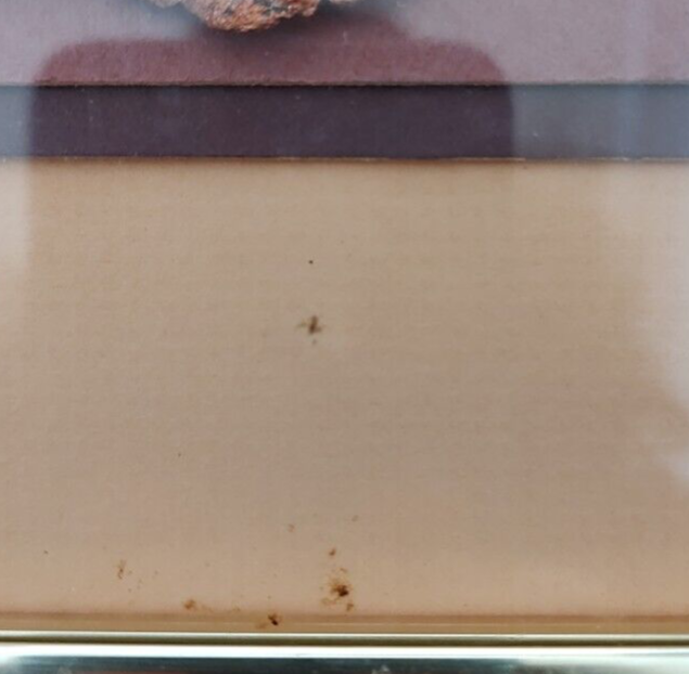 Picture 8 of 13