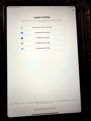 Apple iPad mini (6th Generation) with Tiktok App