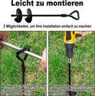 Bild 5 von 12
