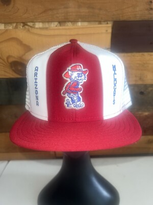 Vintage 70s 80s Arizona Wildcats NCAA College Red Snapback Hat AJD Lucky Stripes