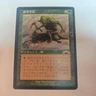 Survival of the Fittest｜Exodus MTG Magic the Gathering Green Japanese　lp
