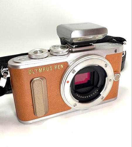 Olympus PEN E-PL8 Body Brown Digital Mirrorless Camera Main Body from Japan