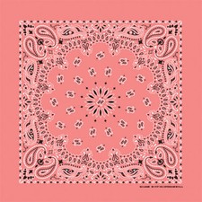 Carolina Creative Bandanna Strawberry Paisley Print 22" x 22" Hav-A-Hank