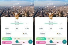 Eevee explorer hat costume Male Female Barcelona background - non Shiny - Trade