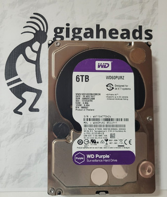 Western Digital Purple Surveillance 3.5'' SATA 6TB 5.7K RPM HDD WD60PURZ Tested!