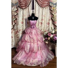Dreamy Pink Strapless Ball Gown Embroidered Bow Evening Dress Formal Ball Gown