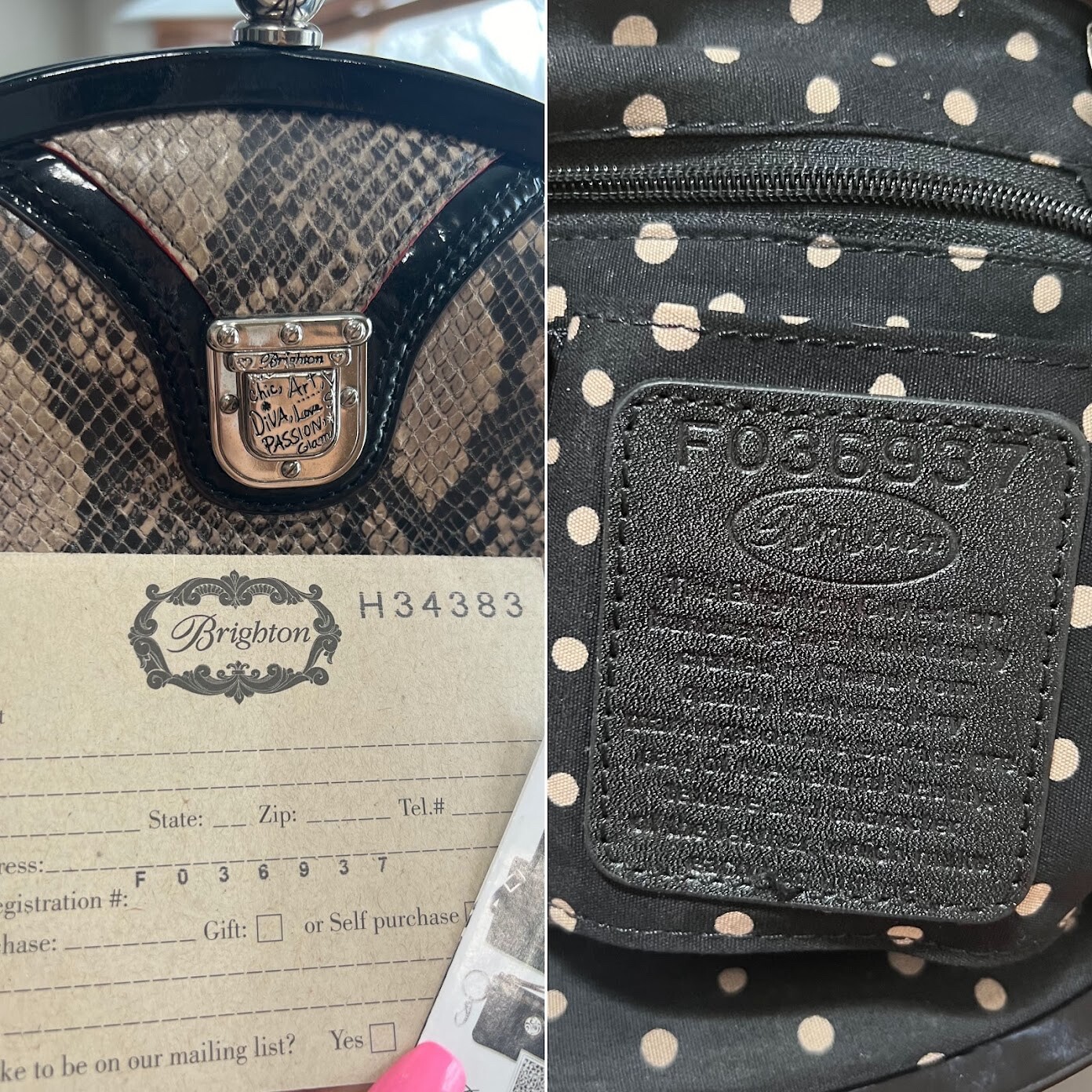 Brighton Women's Black Leather Python Frame Bag P… - image 13