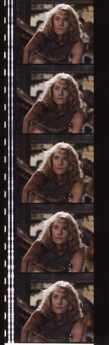 Jurassic Park 35mm Film Cell strip very Rare var_a - Picture 71 of 132