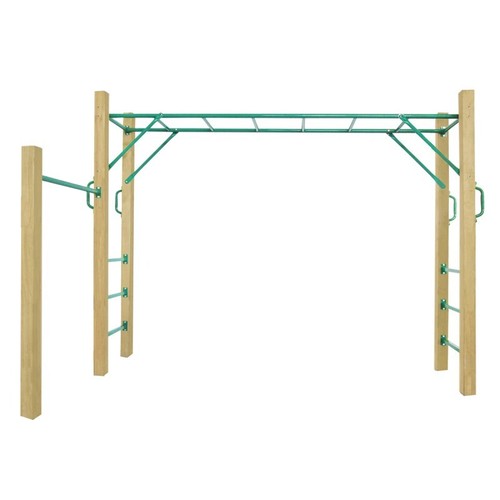 Lifespan Amazon 2.5m Kids Outdoor Monkey Bar Set - Picture 2 of 7