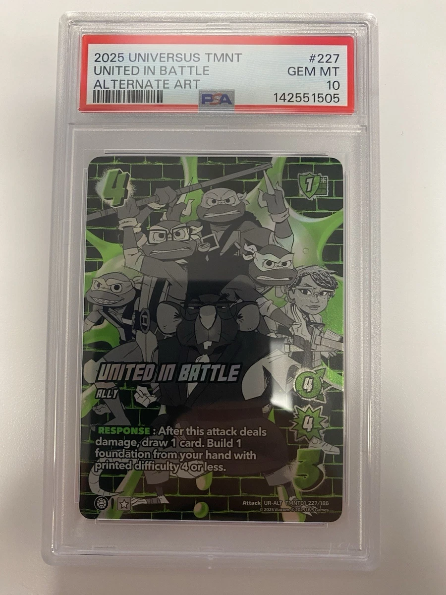 タレントカード RT-89263 TEENAGE MUTANT NINJA TURTLES CARTOON SERIES 1 1989 COMPLETE BASE