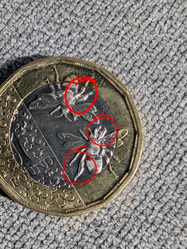 king-charles-iii-bee-1-coin-2025-one-pound-rare-error-ebay-uk