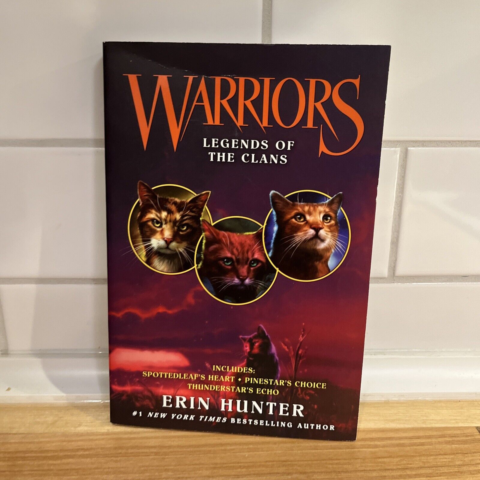 Warriors: Dawn Of The Clans Set - By Erin Hunter (paperback) : Target