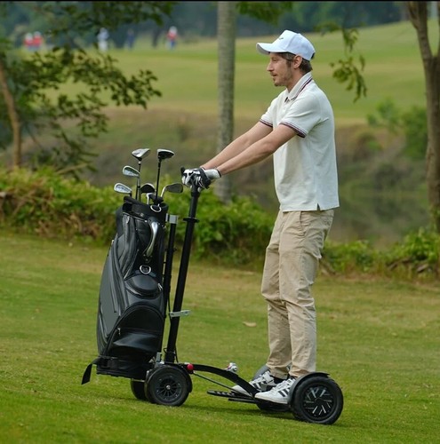 Elektro Golftrolley-Scooter GM 1388 von EsWing -Vorführer- - Bild 4 von 10