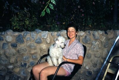 35mm Slide 1950s Red Border Kodachrome Woman with White Poodle on Lap