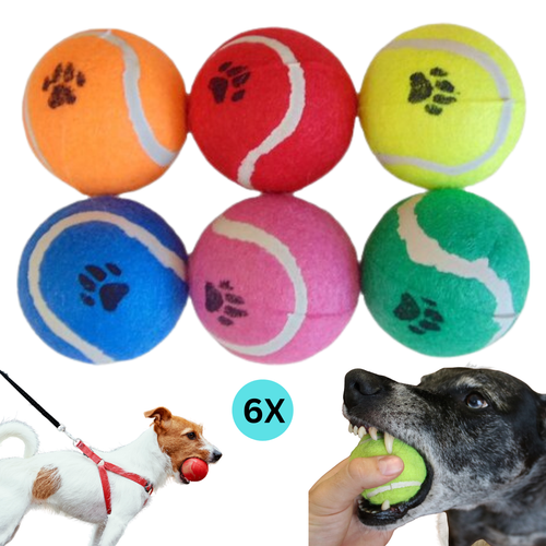6pc Colorful Tennis Balls Dog Balls Sports Outdoor Dog Play Toy Balls for Dogs