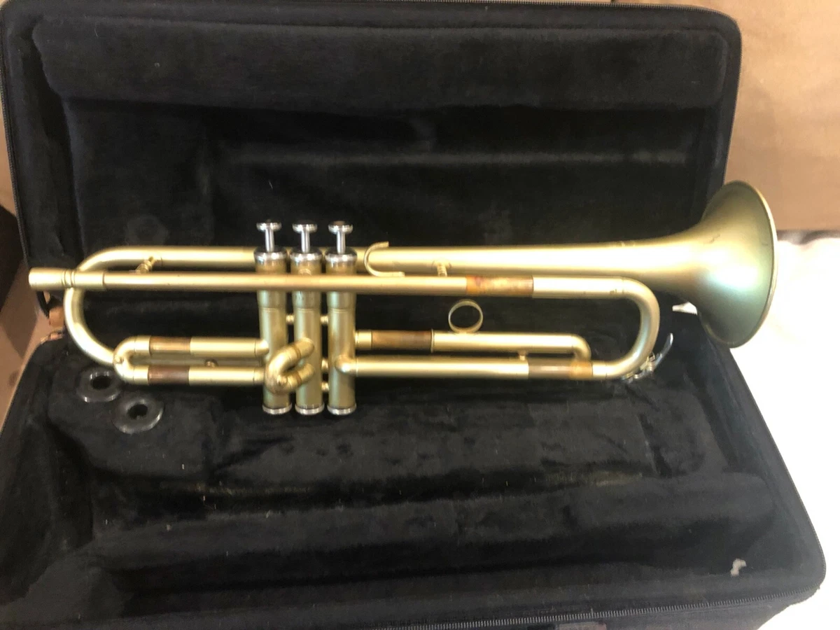 Q 2024 the trumpet