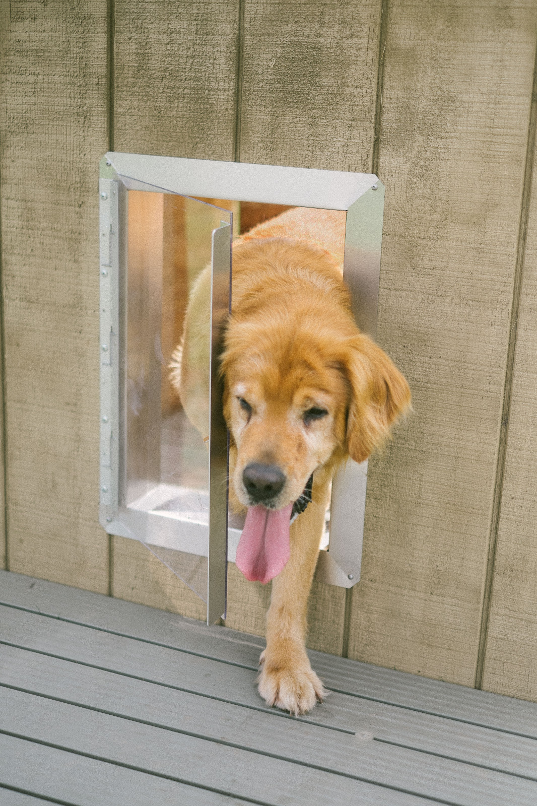 Dog Vue Kennel Door for indoor and outdoor dog kennels, dog houses and