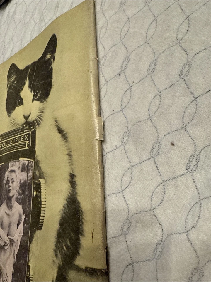 Винтажный мужской журнал ACE февраль 1960 Терри Хиггинс, Джейн Аверли, датчанин Арден - Изображение 3 из 3