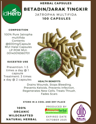[idHerb] Kräuter KAPSELN Jatropha Multifida Betadin/Jarak Tingkir Naturkräuter