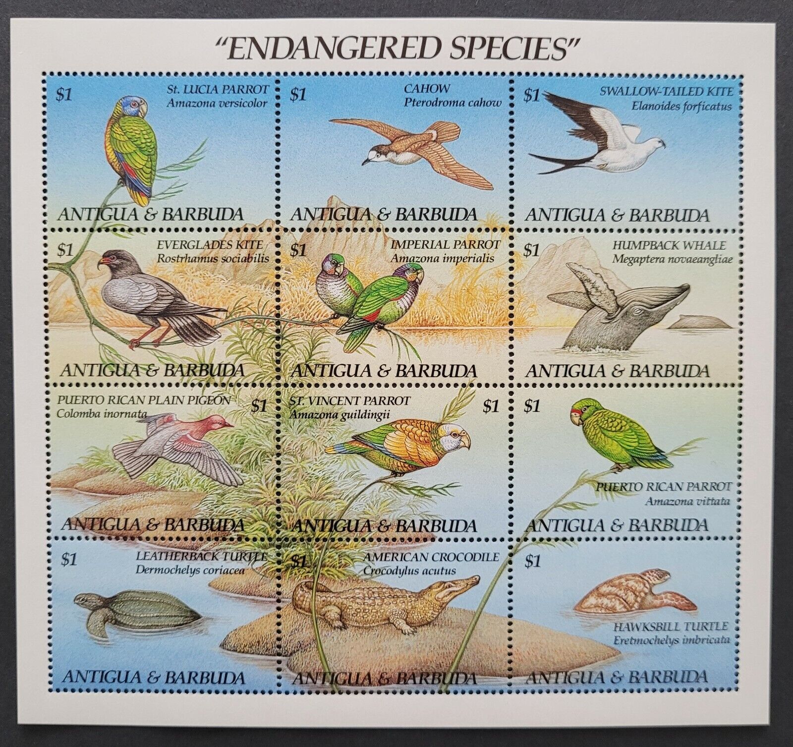 Antigua&Barbuda 1993 / Endangered Species - Kites, Parrots ... / 12v ms 