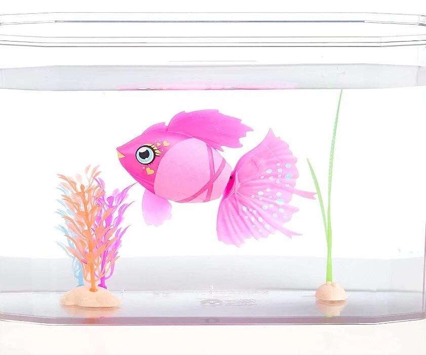 Pink Clear Fish Neon Pink Fish