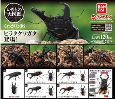 The Diversity of Life on Earth Stag Beetle 06 Set of 5 Figure