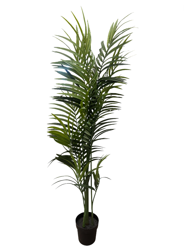 IKEA フェイカ New IKEA FEJKA Artificial Potted Plant Kentia Palm 19 cm (7 ½