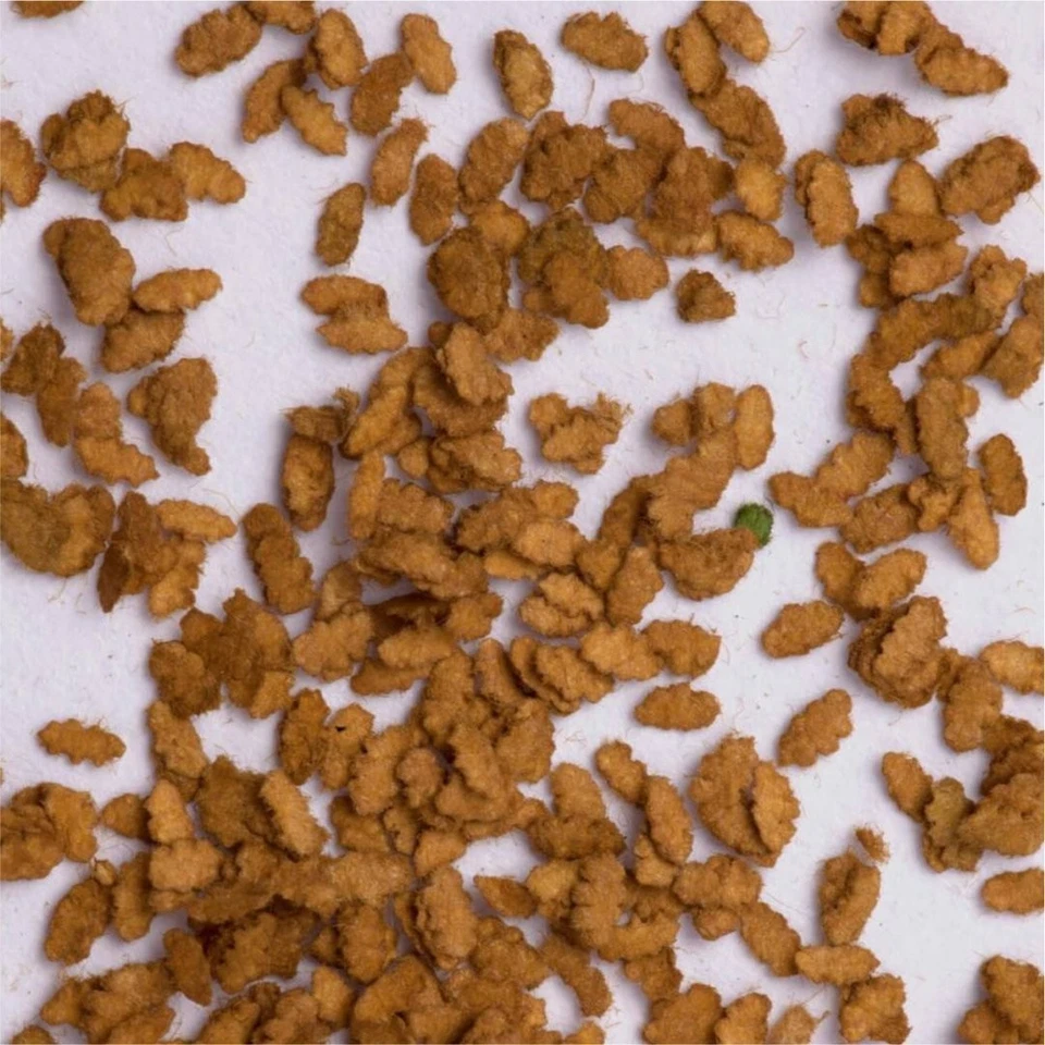 DIORAMAPRESEPE Eichenblätter braun 10g Begrünung für Modellbau, Diorama & Eisenbahn Landschaft