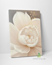 Pink Peony Flower Canvas Art Wall Art Print Picture Fashion Canvas Home Decor