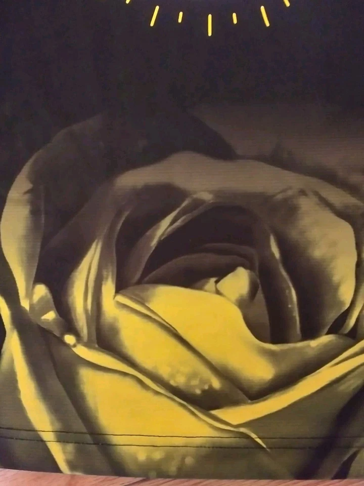 Draymond Green Golden State Warriors NBA Fanatics Jersey Youth Size L - Image 4 of 4