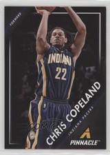 2013-14 Panini Pinnacle Chris Copeland #228 1u0