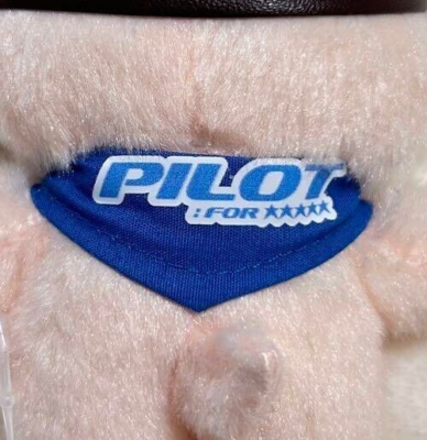 Skzoo Stray Kids PuppyM Seungmin Stuffed Plush Mascot Plush 10cm