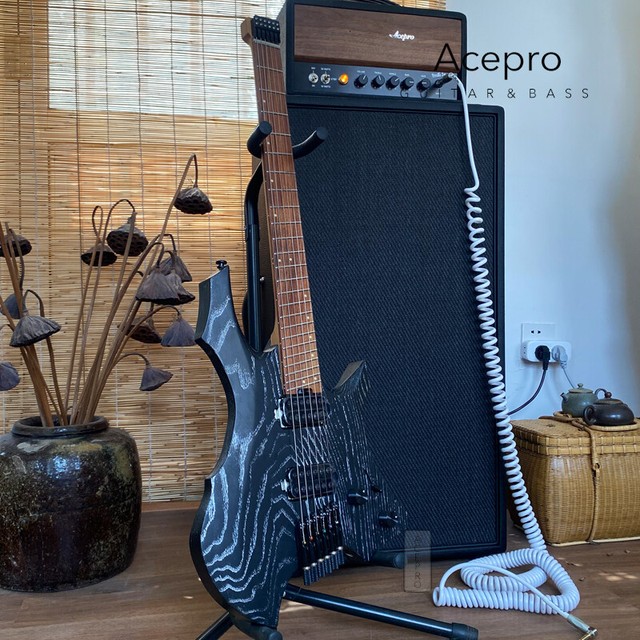 Acepro Guitars | eBay Stores