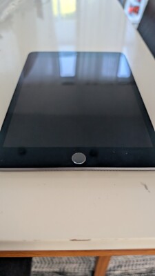 iPad Mini 5th Generation 64gb Wifi - READ DESCRIPTION 190199062238