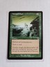 Tranquil Path - Apocalypse - MTG Magic - Common - Green Sorcery