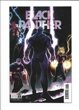 Black Panther # 13 Matteo Scalera 1:25 Variant NM RARE HTF Marvel Combine Ship