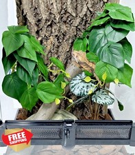 Woyrise Reptile Plants Terrarium Hanging Vines Bearded Dragon Tank