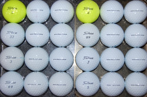 2 DOZEN 2023 - 2024 TITLEIST PRO V1 used Golf Balls AAAAA Free 2 Dozen Tees