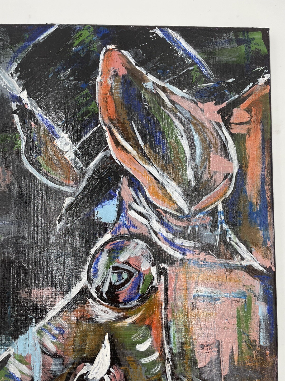 Picture 4 of 6