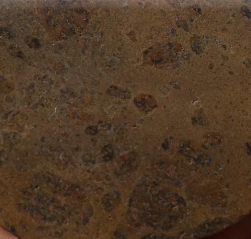 NWA Howardite Meteorite - 4" Fetta di Asteroide Vesta (HED Acondrite, 128g) - Foto 10 di 11