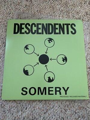 1991 Descendents Somery SST 259 Double LP 2 Vinyl Record Punk Rock