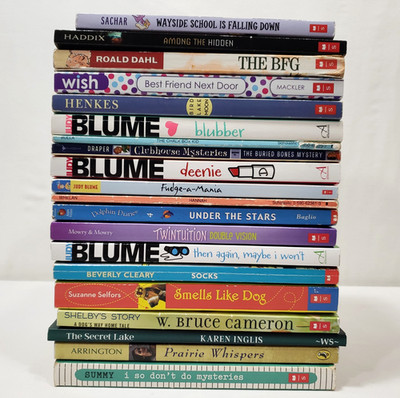 4th 5th Grade Chapter Books Lot of 20 Classroom Library Homeschool Teacher Set