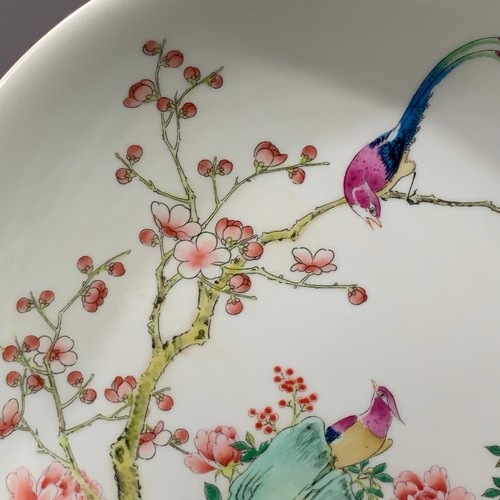 Fine Chinese Collectable Art Famille Rose Porcelain Bird Plate - Picture 2 of 9