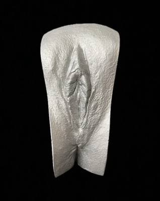 Vagina Gipsabdruck 3D Original Abdruck Silber Vulva Intimabdruck Deko Kunst