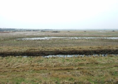 Foto 6x4 Feuchtrasen bei Walton Walton-On-The-Naze Die nassen Blitze insi c2009